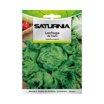 Semillas Lechuga Reina Del Hielo (7 gramos)
