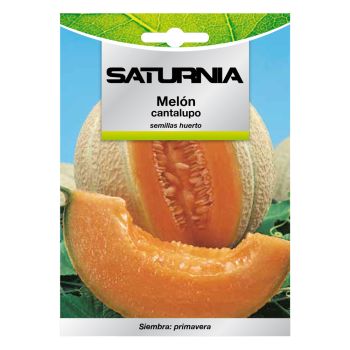 Semillas Melon Cantalupo (3 gramos)