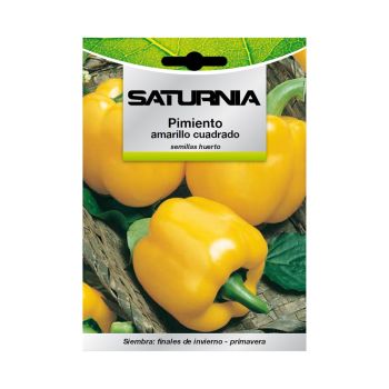 Semillas Pimiento Amarillo Cuadrado (1.5 gramos)