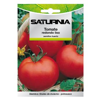 Semillas Tomate Redondo Liso (1 gramo)
