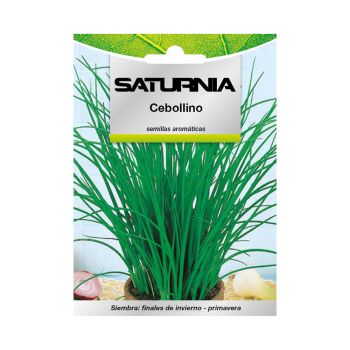 Semillas Aromaticas Cebollino (1 gramo)