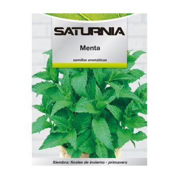Semillas Aromaticas Menta (0.3 gramos)