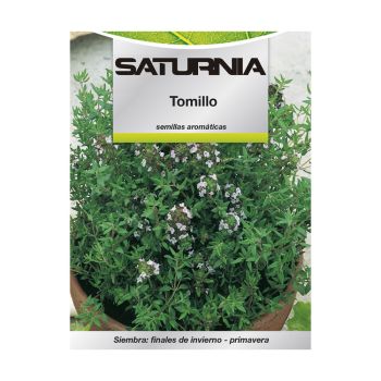 Semillas Aromaticas Tomillo (1 gramo)