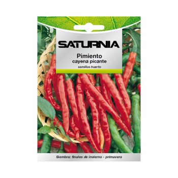 Semillas Pimiento Cayena Picante (1.5 gramos)
